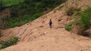 Kondisi jalan penghubung 4 Desa yang ada di Kabupaten Ende.(wacananews.co.id/ms)