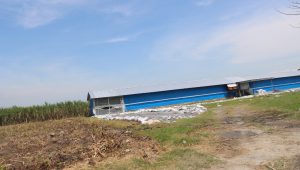 Soal Pembuangan Limbah B3 di Jombang, Kades Karangdagangan Mengaku Tidak Tahu