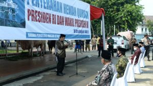 Presiden Jokowi Menyerahkan Hewan Kurban di Masjid Istiqlal