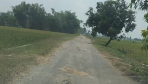 Kondisi Jalan Rusak Berat, Warga Desa Jatimlerek Jombang Minta Pemerintah Memperhatikan