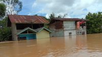 Banjir di Landak Sebanyak 10 Desa Terdampak