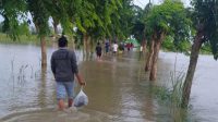 Sembilan Desa di Gresik Terendam Banjir, Disebabkan Kali Lamong Meluap