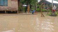 Sebanyak 505 Jiwa Terdampak Banjir di Kabupaten Aceh Timur