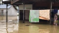 Ribuan Rumah Terendam Banjir Beberapa Kabupaten di Kalimantan Selatan