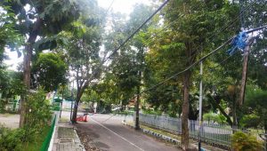 Kondisi Kabel Telkom Jalan Dokter Setiabudi Jombang, Semrawut Tak Terawat