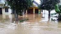 Rumah Warga Desa Brangkal Bandarkedungmulyo Jombang Terendam Banjir