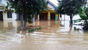 Rumah Warga Desa Brangkal Bandarkedungmulyo Jombang Terendam Banjir