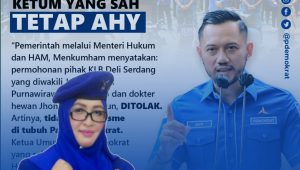DPC Partai Demokrat Aceh Timur: Kami Tetap Solid Dengan Mas AHY