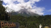 Gunung Merapi Luncurkan Awan Panas Sejauh 2 Kilometer, Hujan Abu Terjadi di Cepogo