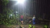 BNPB: Hujan Lebat Akibatkan Tujuh Desa Terendam Banjir di Madiun