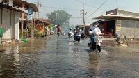 Sebanyak 2.970 Rumah Terendam Banjir di Pasuruan