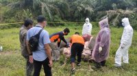 Gajah 15 Tahun Mati Tanpa Kepala di Aceh Timur