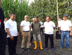 Perhutani Terima Kunker Asdep Kementrian BUMN di KPH Jombang