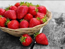Cara Budidaya Strawberry, Harganya Fantastis