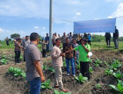 Pengembangan Tembakau, Pemerintah Aceh Besar Studi ke Jombang