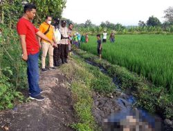 Sumbat Saluran Irigasi, Mayat Tidak Dikenal Ditemukan di Balongsari Jombang