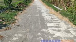 Jalan Rabat Beton di Pagerwojo Perak Jombang Rusak, TPK: Dalan Nek Gak Oleh Rusak Dikresek’i