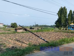 Tiang Kabel Milik Telkom di Purisemanding Jombang Roboh