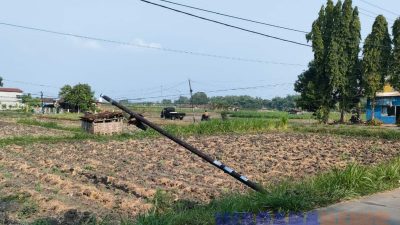 Tiang Kabel Milik Telkom di Purisemanding Jombang Roboh