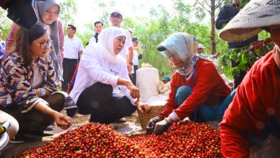 Gubernur Jawa Timur Khofifah Indar Parawansa  Dukung Peluncuran Platform Socio Forest