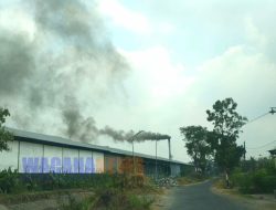LSM GeNaH Laporkan Pabrik Kayu Tunggorono ke Gakkum