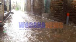 Curah Hujan Belum Tinggi, Jalan Lingkungan Desa Jombang Sudah Tergenang Air, Proyek Draenase Dipersoalkan