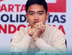 Kaesang Dipastikan Tidak Ikut Pilkada 2024