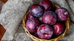 Manfaat Buah Plum untuk Kesehatan