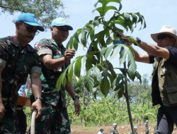 Panglima TNI Tanam Pohon di PMPP Sentul