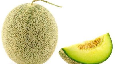 Buah Melon untuk Ibu Hamil