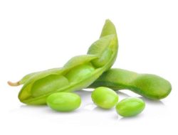 Manfaat Edamame untuk Kesehatan Tubuh