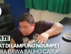 Camat Ngumpet di Bawah Meja