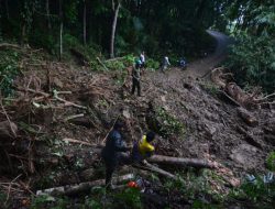 Longsor di Padang Pariaman