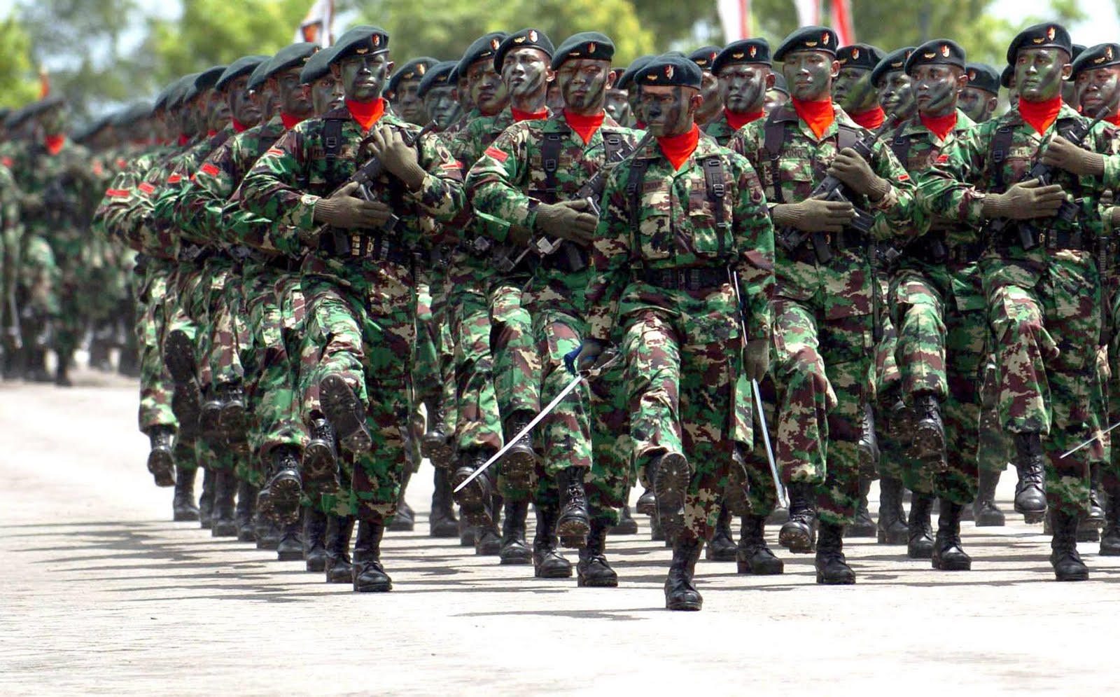 Perayaan HUT TNI