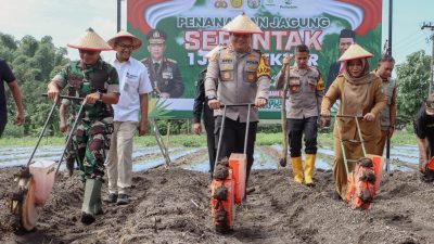 kapolres jombang tanam jagung