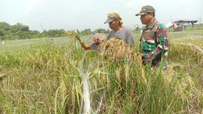 Babinsa Koramil Lakarsantri