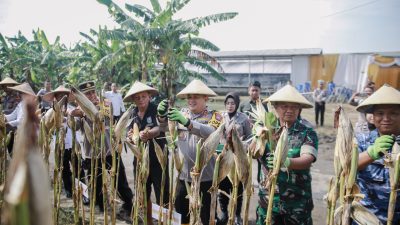 polres jombang panen jagung