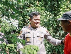Kapolres Jombang Kunjungi Desa Percontohan Program Pekarangan Pangan Bergizi di Mojotrisno