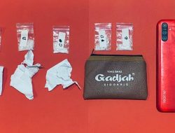Wanita Paruh Baya Diringkus Polisi Usai Jadi Pengedar Sabu 3,42 gram