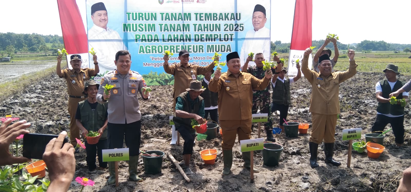 tembakau jombang