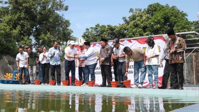 ikan nila