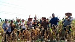 perhutani kph jombang