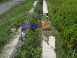 Kualitas Proyek Dana Desa Buruk, Pemdes Selorejo Jombang di Laporkan