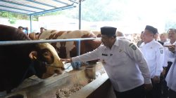 hewan kurban presiden prabowo