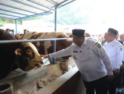 Bupati Jombang Pantau Hewan Kurban Presiden, Pastikan Stok dan Surplus Dengan Kondisi Sehat