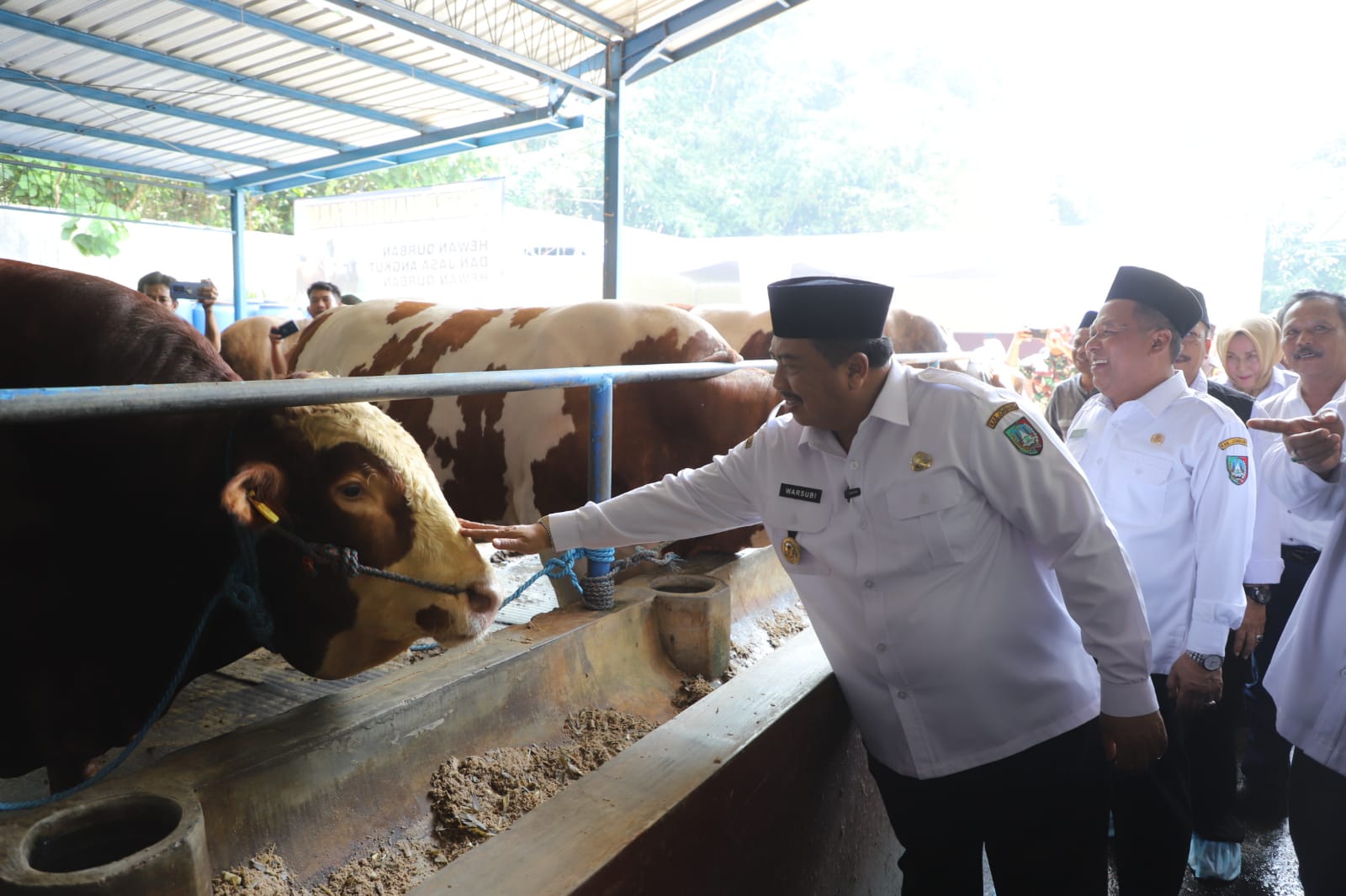 hewan kurban presiden prabowo
