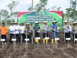 Penanaman Jagung Kuartal III Polres Jombang, Perhutani Dukung Penuh Program Pemerintah