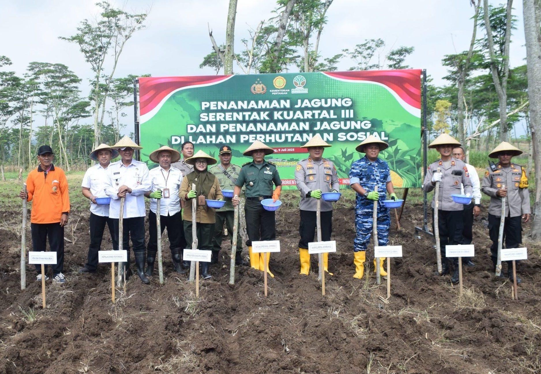 penanaman jagung