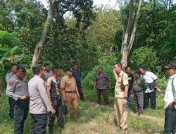 Dukung Ketahanan Pangan, Perhutani KPH Jombang Verifikasi Lahan Untuk Penanaman Jagung oleh Polres Jombang