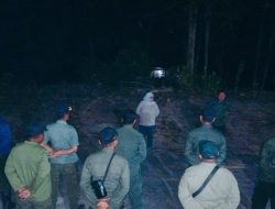 Polhut Perhutani KPH Jombang Siaga Gukamhut dan Kebakaran Hutan di Kabuh
